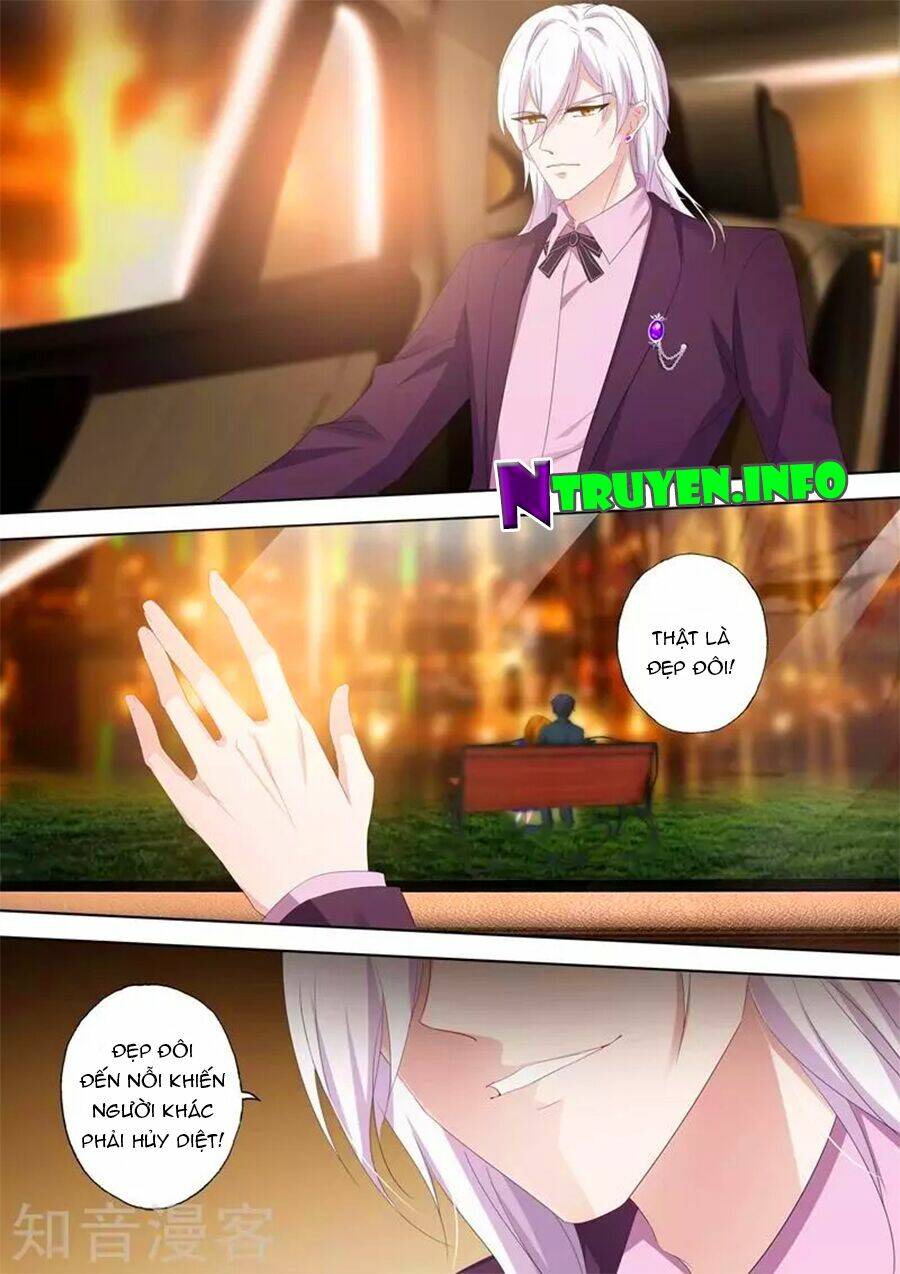 Hào Môn Thiên Giới Tiền Thê Chapter 345 - Trang 2