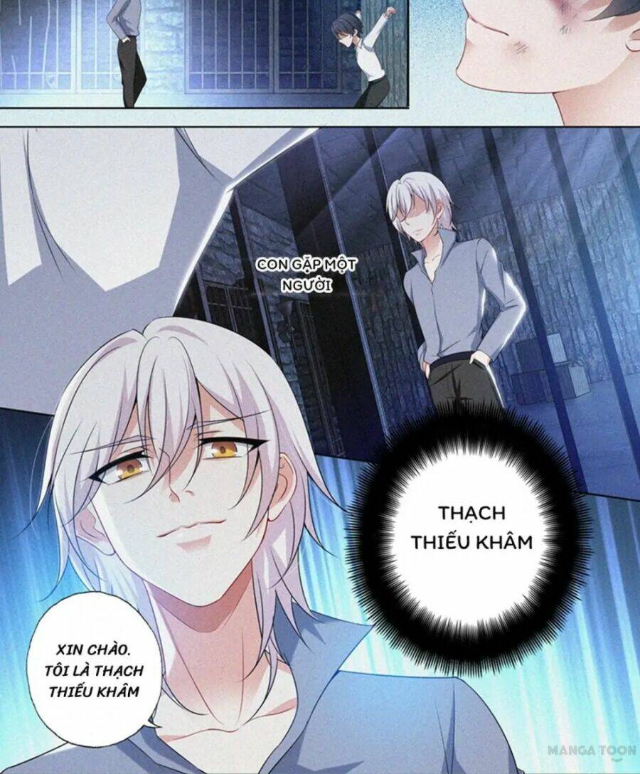 Hào Môn Thiên Giới Tiền Thê Chapter 425 - Trang 2