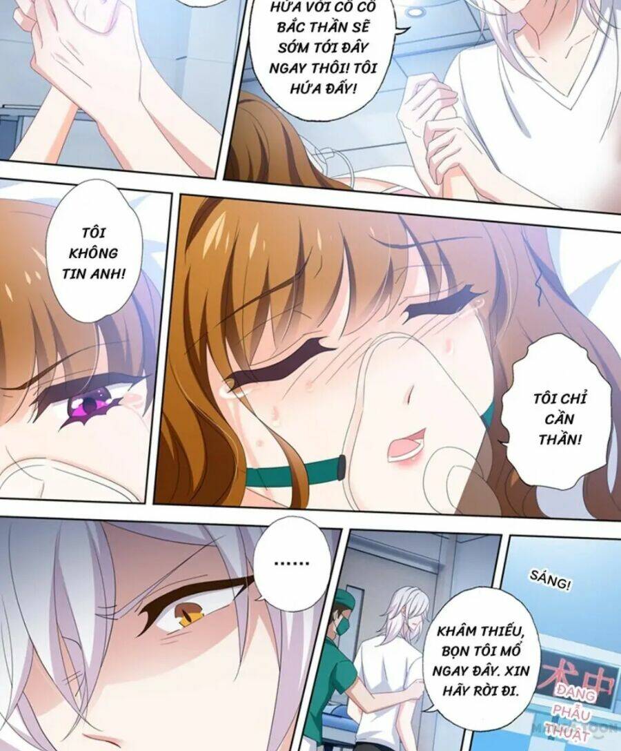 Hào Môn Thiên Giới Tiền Thê Chapter 486 - Trang 2