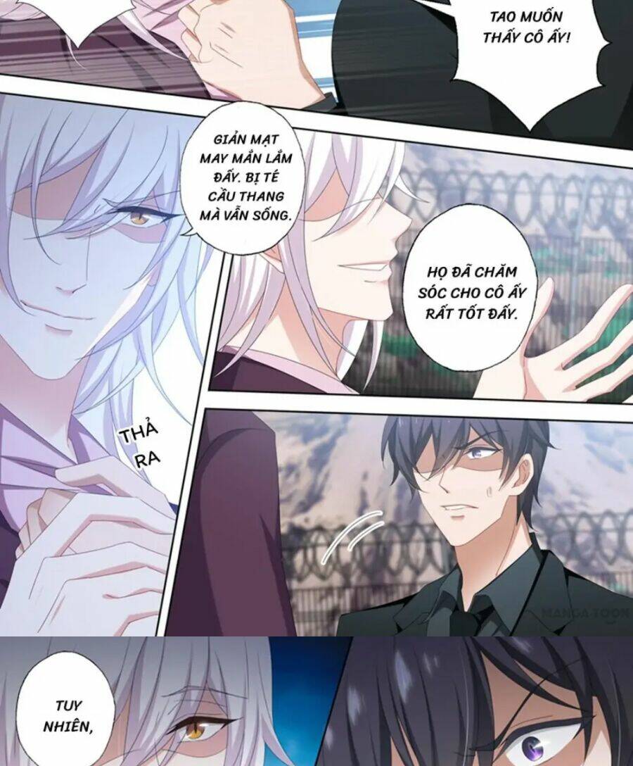 Hào Môn Thiên Giới Tiền Thê Chapter 491 - Trang 2