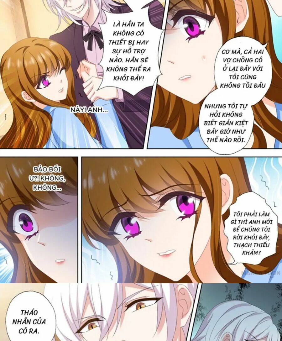 Hào Môn Thiên Giới Tiền Thê Chapter 496 - Trang 2