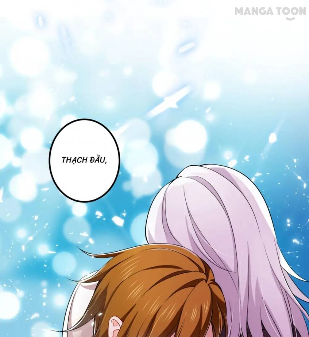 Hào Môn Thiên Giới Tiền Thê Chapter 597 - Trang 2