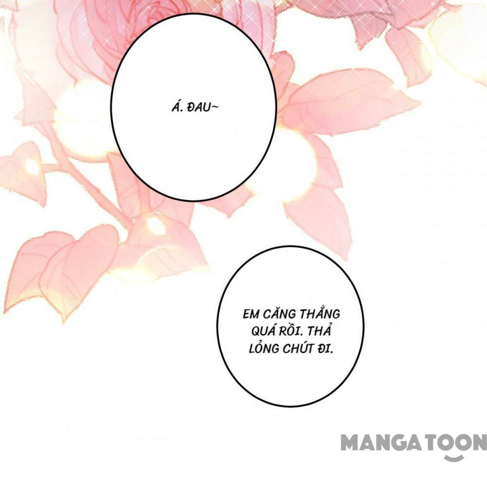 Hào Môn Thiên Giới Tiền Thê Chapter 626 - Trang 2