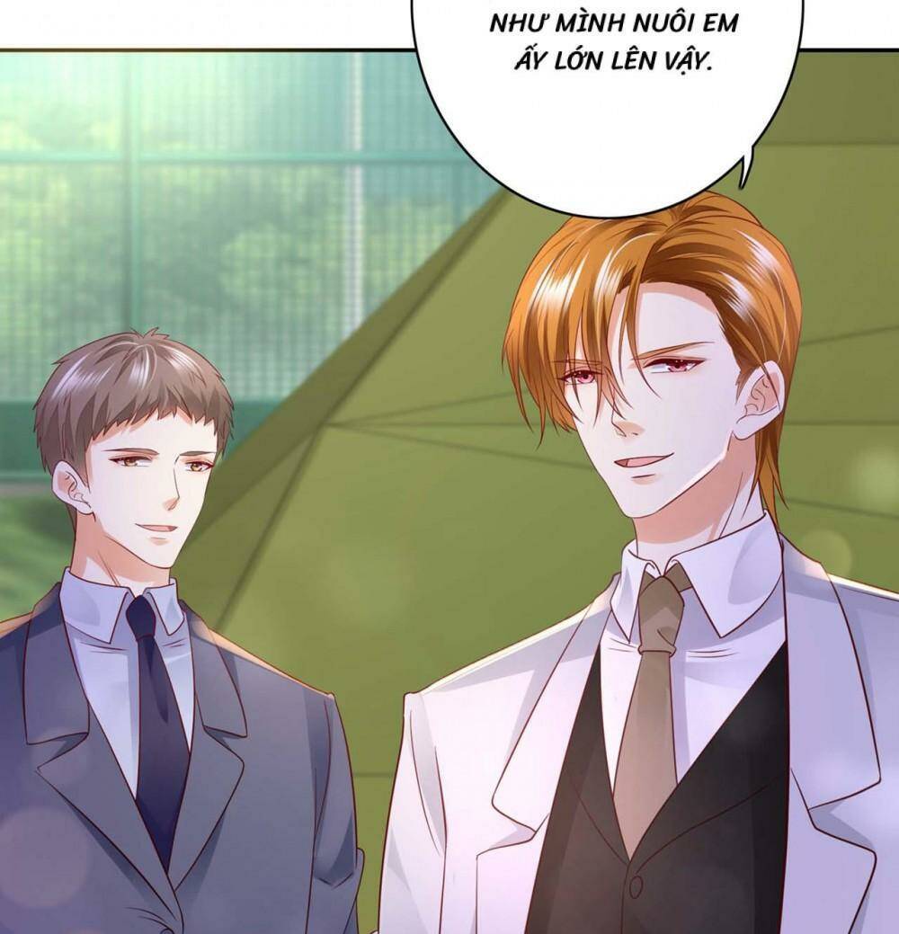 Hào Môn Thiên Giới Tiền Thê Chapter 647 - Trang 2