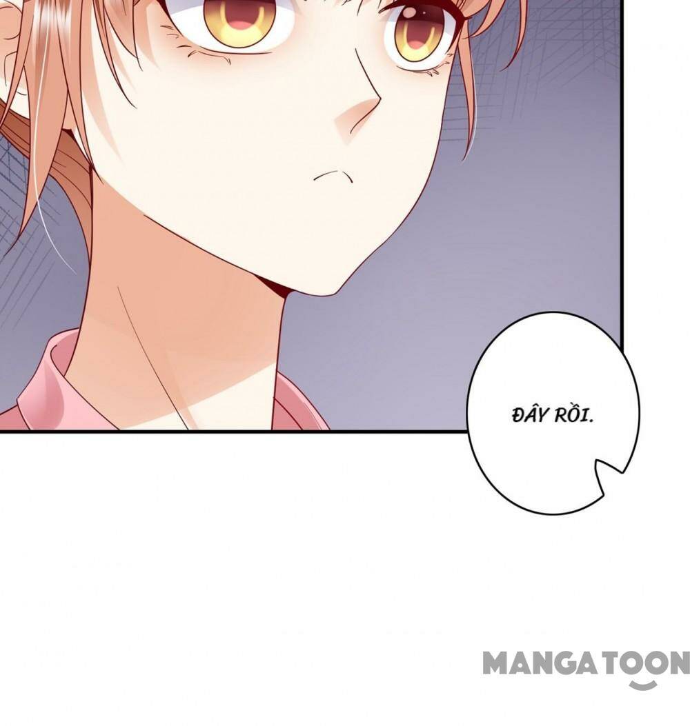 Hào Môn Thiên Giới Tiền Thê Chapter 670 - Trang 2