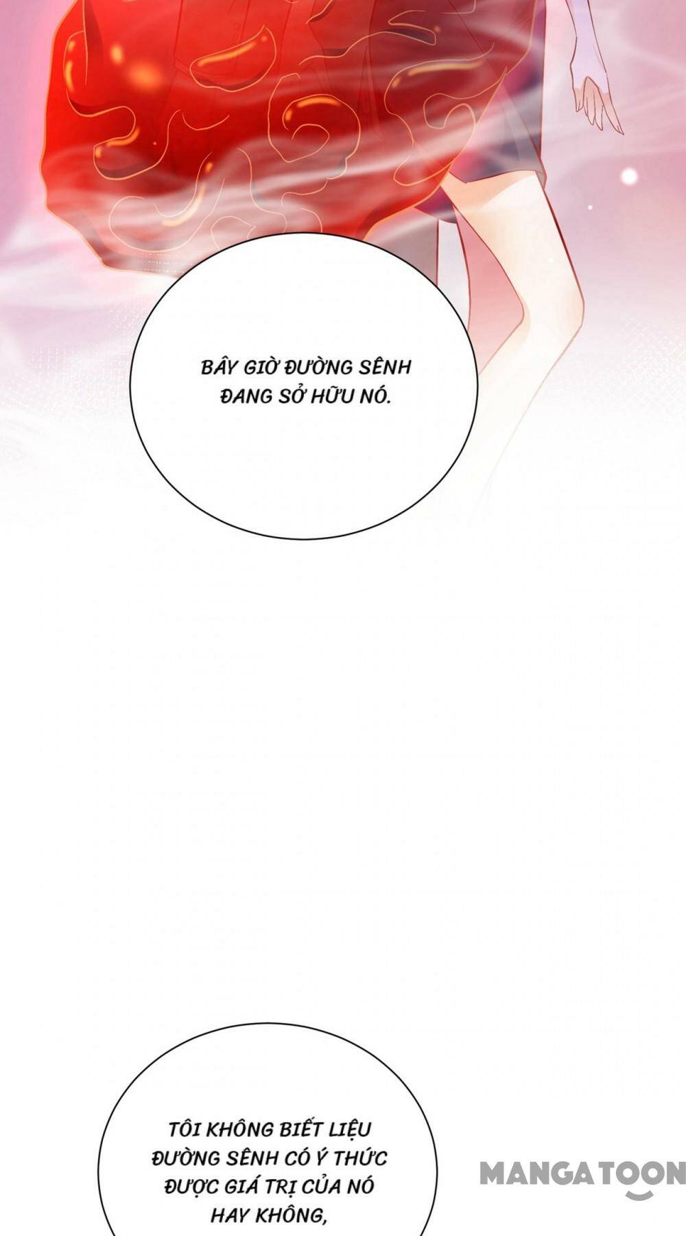 Hào Môn Thiên Giới Tiền Thê Chapter 683 - Trang 2