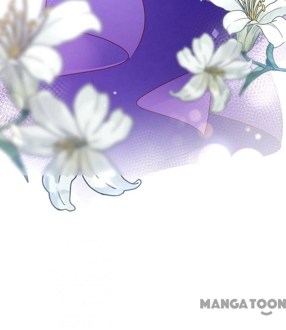 Hào Môn Thiên Giới Tiền Thê Chapter 683 - Trang 2