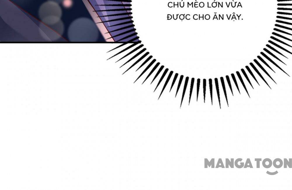 Hào Môn Thiên Giới Tiền Thê Chapter 693 - Trang 2