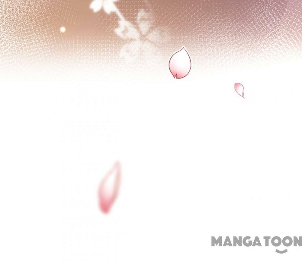 Hào Môn Thiên Giới Tiền Thê Chapter 701 - Trang 2