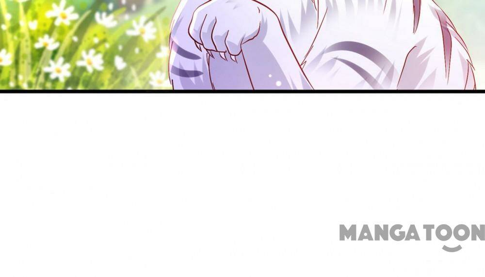 Hào Môn Thiên Giới Tiền Thê Chapter 714 - Trang 2