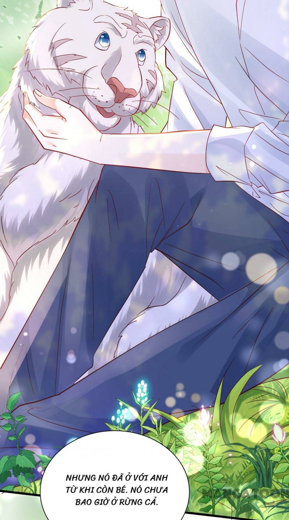 Hào Môn Thiên Giới Tiền Thê Chapter 715 - Trang 2