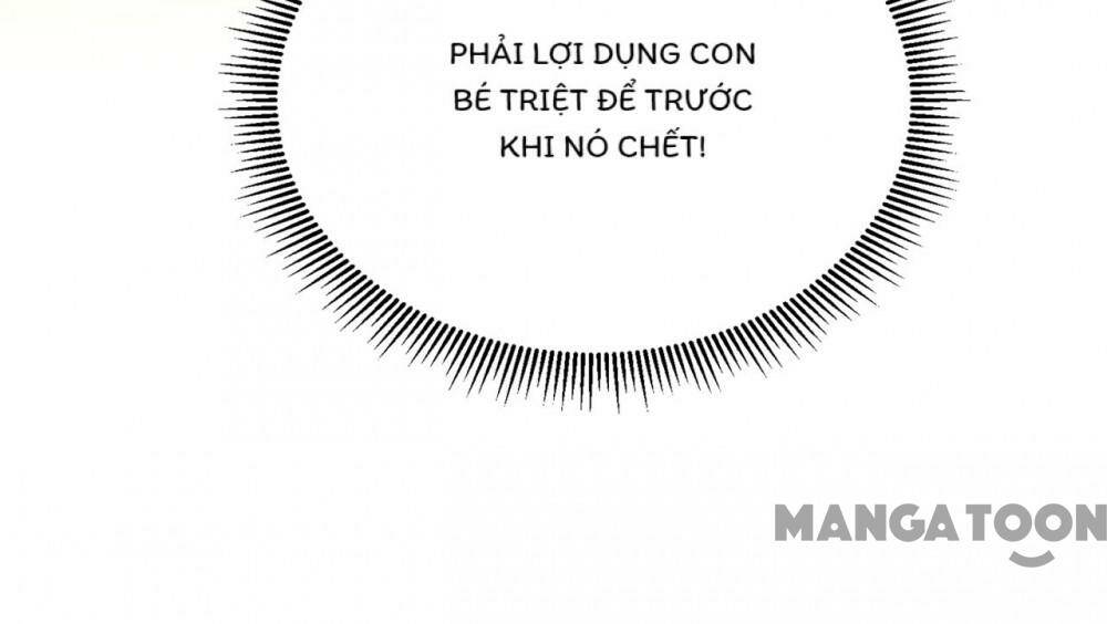 Hào Môn Thiên Giới Tiền Thê Chapter 719 - Trang 2