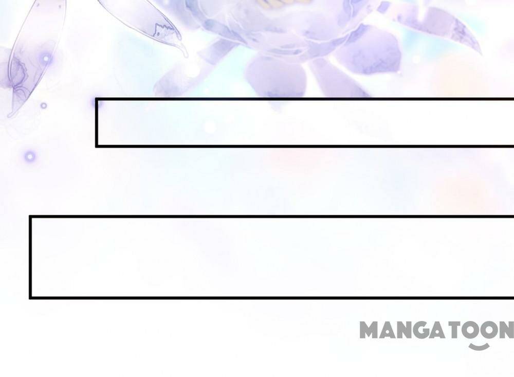 Hào Môn Thiên Giới Tiền Thê Chapter 743 - Trang 2