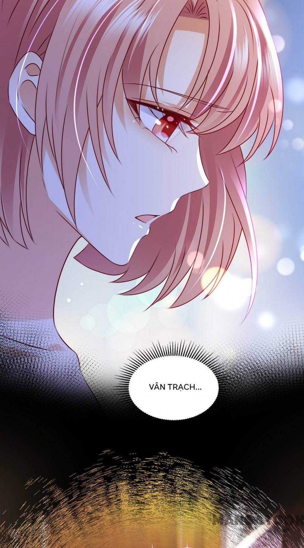 Hào Môn Thiên Giới Tiền Thê Chapter 751 - Trang 2