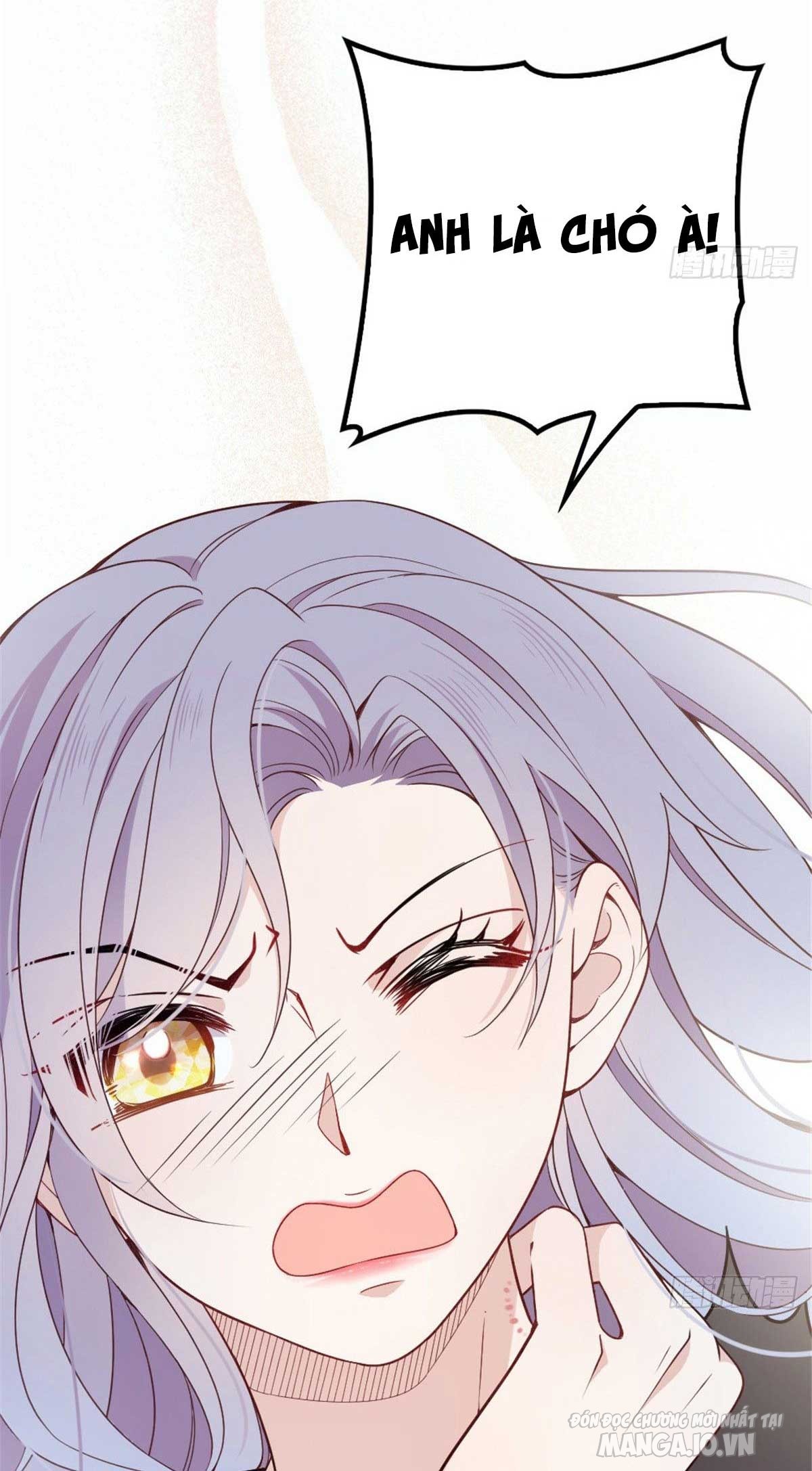 Hào Môn Thịnh Hôn Mua Một Tặng Một Chapter 17.1 - Trang 2