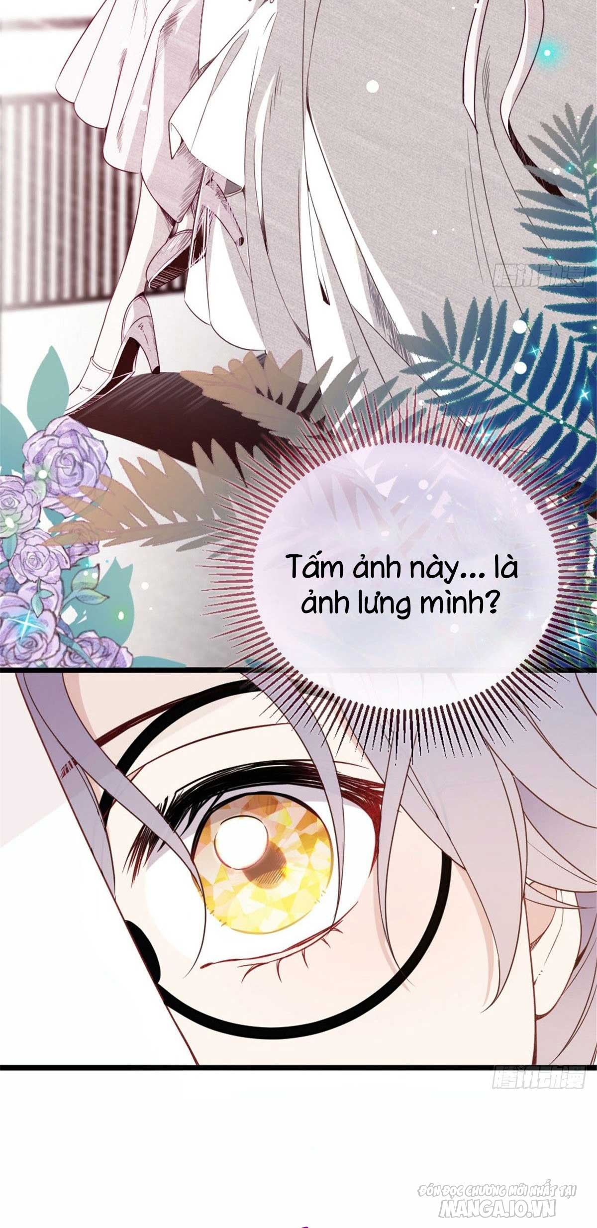Hào Môn Thịnh Hôn Mua Một Tặng Một Chapter 17.2 - Trang 2