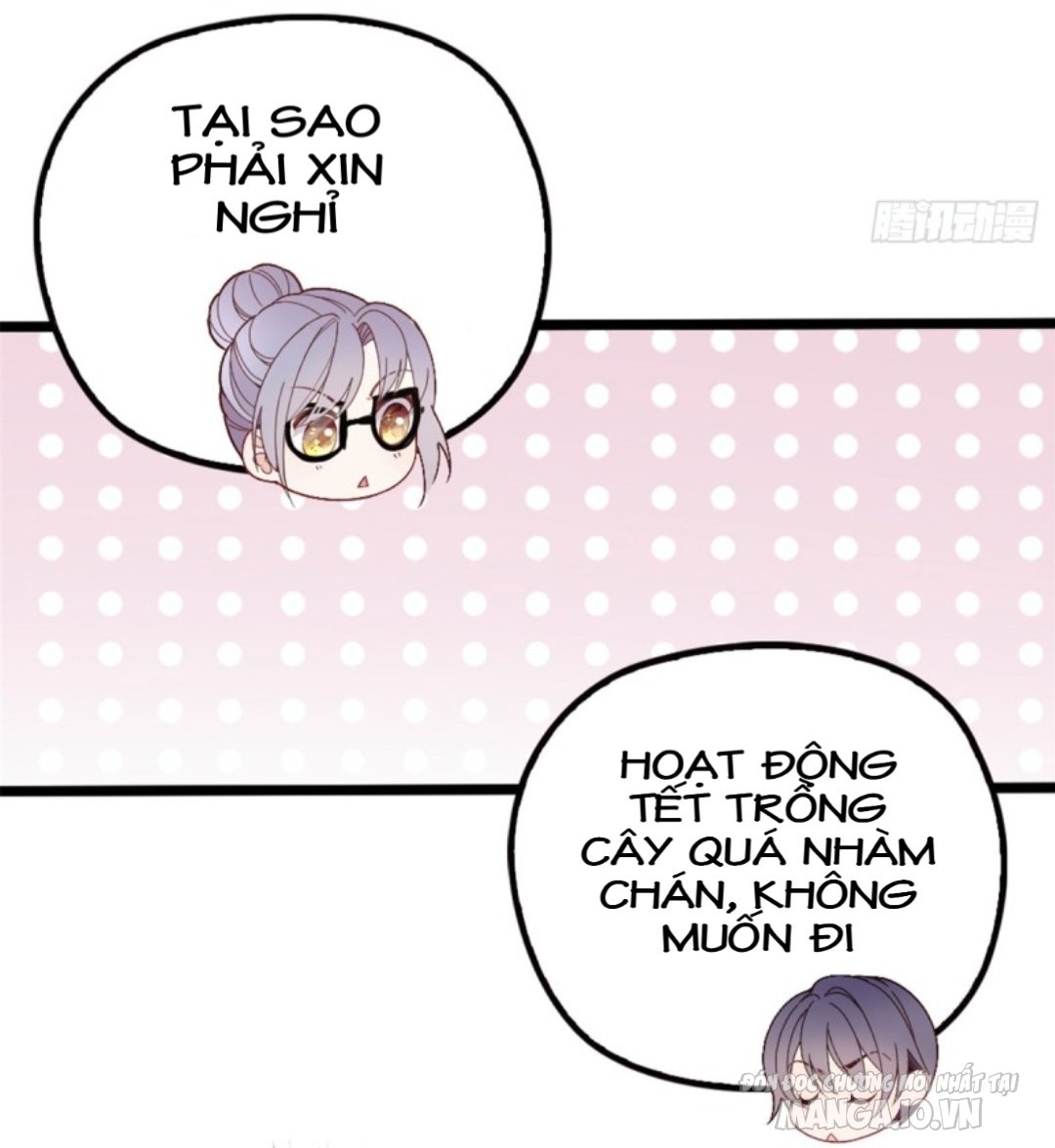 Hào Môn Thịnh Hôn Mua Một Tặng Một Chapter 2 - Trang 2