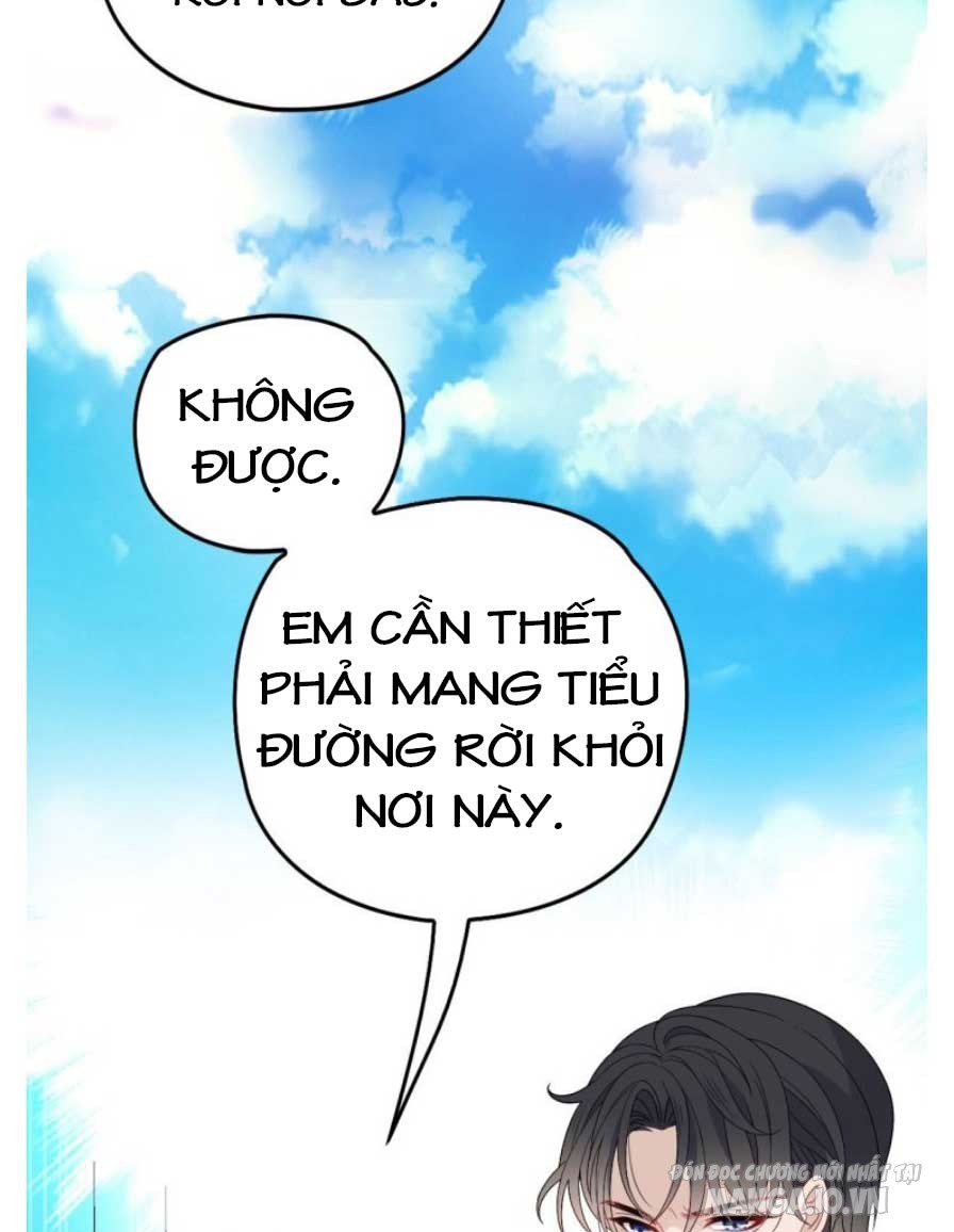 Hào Môn Thịnh Hôn Mua Một Tặng Một Chapter 56 - Trang 2