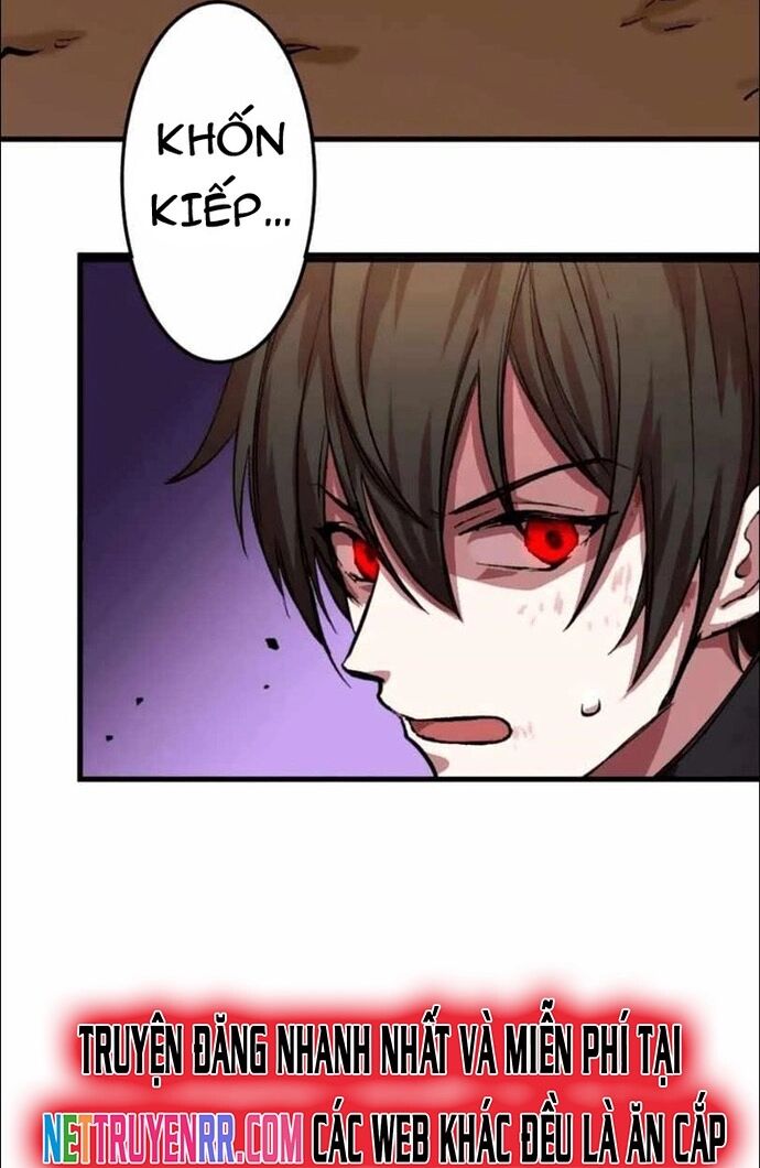 Hấp Thụ Cấp Độ Chapter 15 - Trang 2