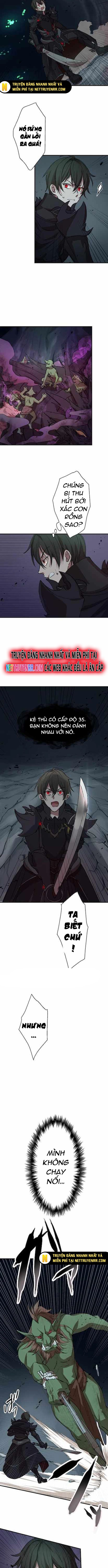 Hấp Thụ Cấp Độ Chapter 2 - Trang 2