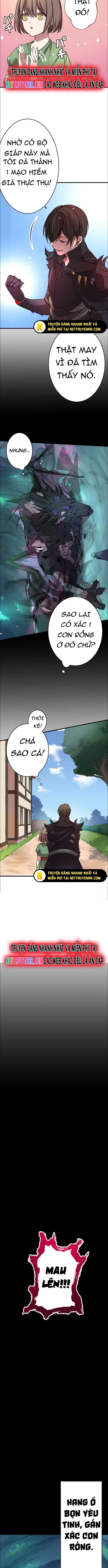 Hấp Thụ Cấp Độ Chapter 8 - Trang 2