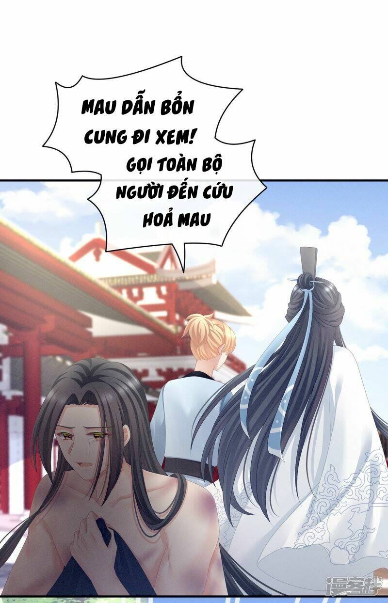 Hậu Cung Của Nữ Đế Chapter 102 - Trang 2
