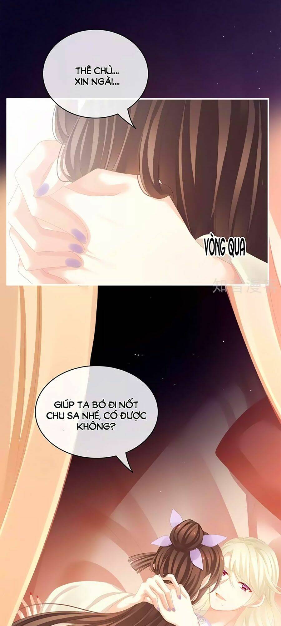 Hậu Cung Của Nữ Đế Chapter 107 - Trang 2