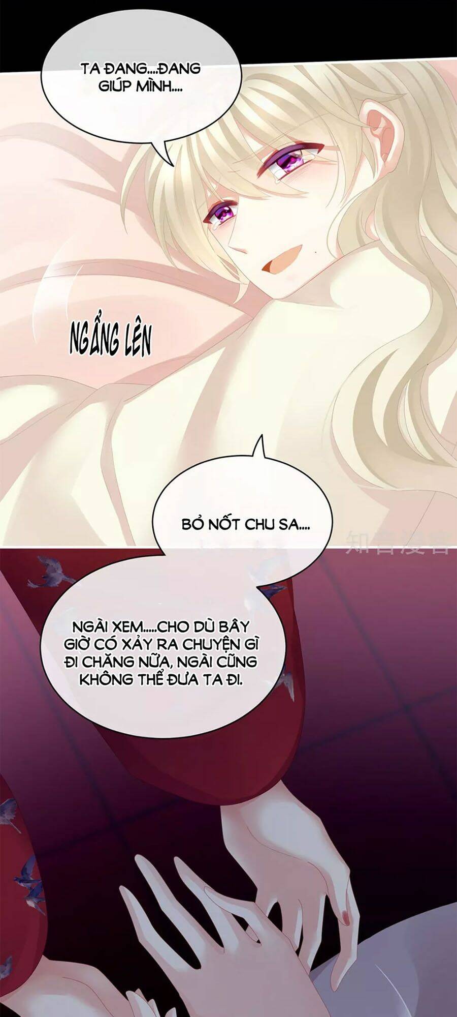 Hậu Cung Của Nữ Đế Chapter 108 - Trang 2