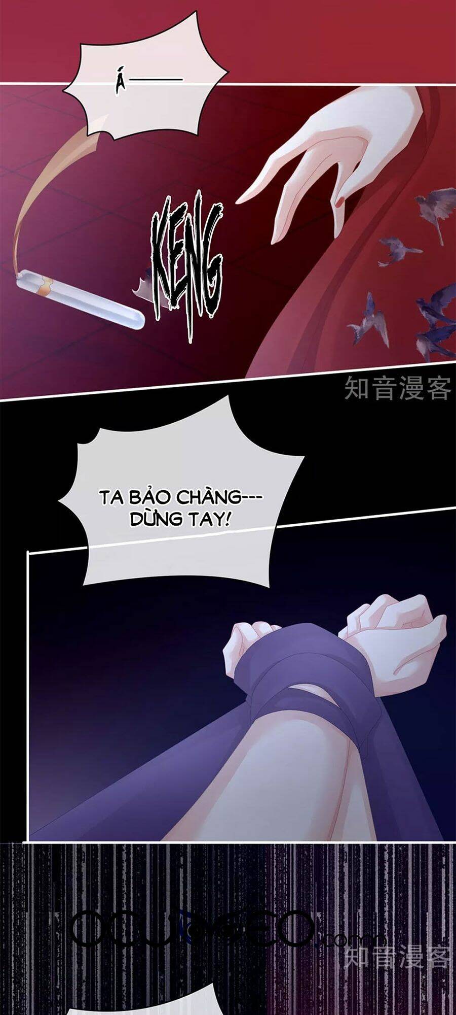 Hậu Cung Của Nữ Đế Chapter 108 - Trang 2