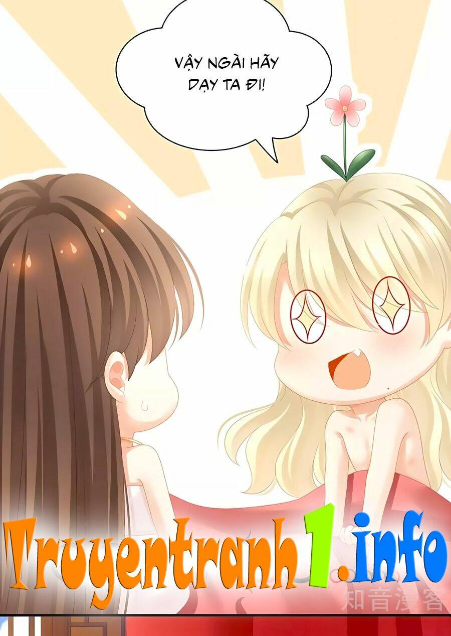 Hậu Cung Của Nữ Đế Chapter 110 - Trang 2