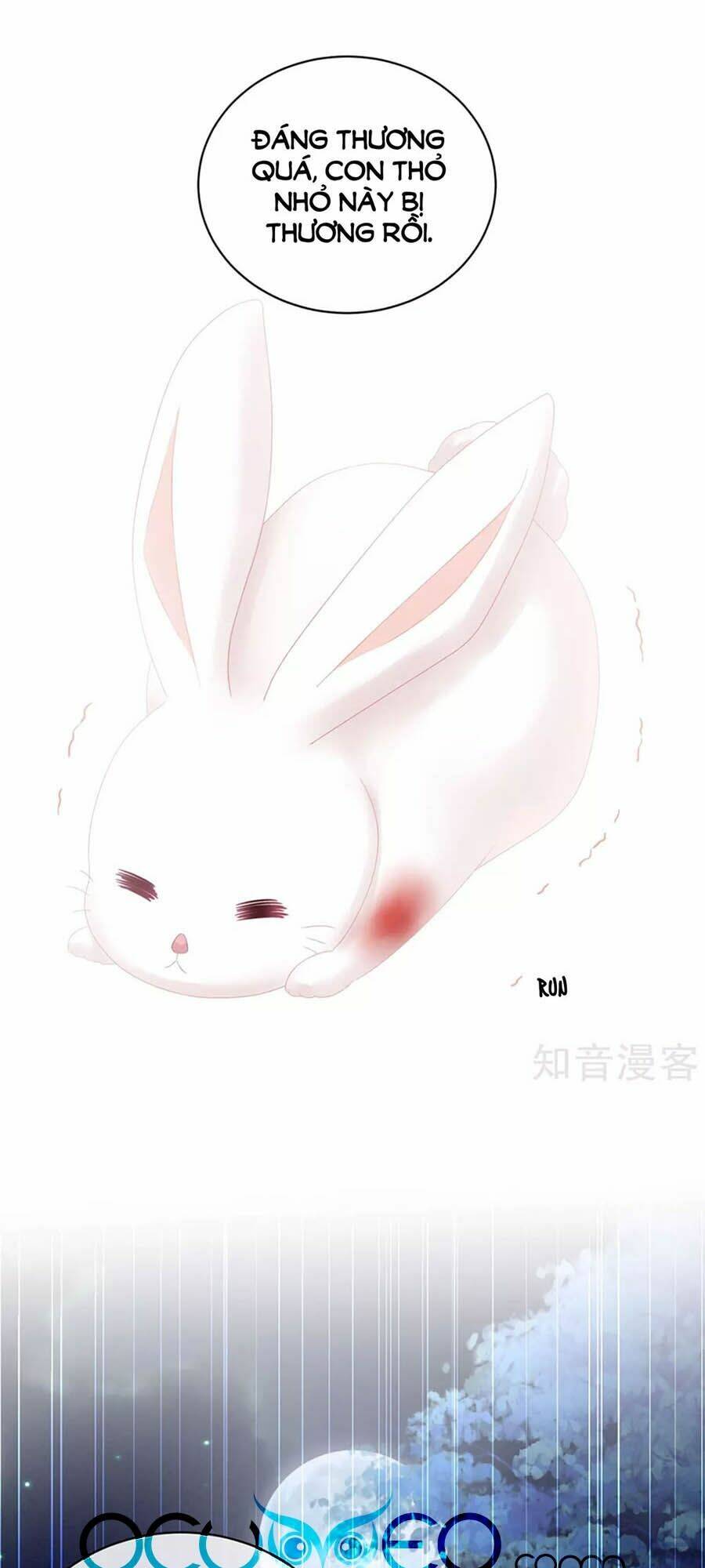 Hậu Cung Của Nữ Đế Chapter 113 - Trang 2