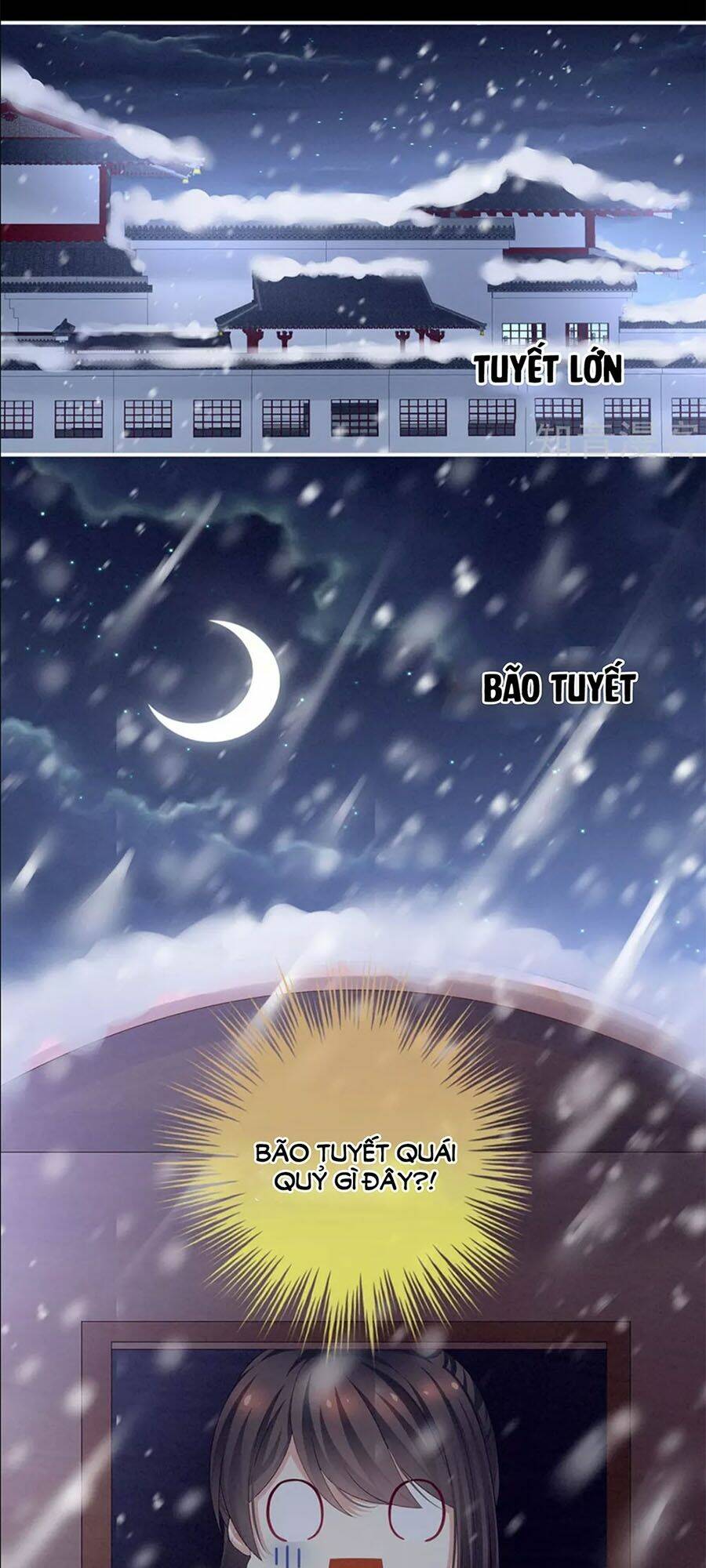 Hậu Cung Của Nữ Đế Chapter 119 - Trang 2