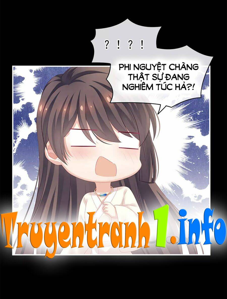 Hậu Cung Của Nữ Đế Chapter 125 - Trang 2