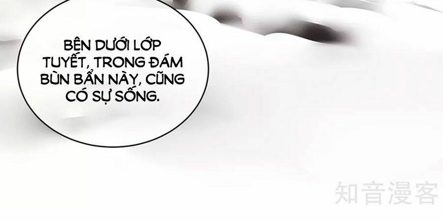 Hậu Cung Của Nữ Đế Chapter 129 - Trang 2