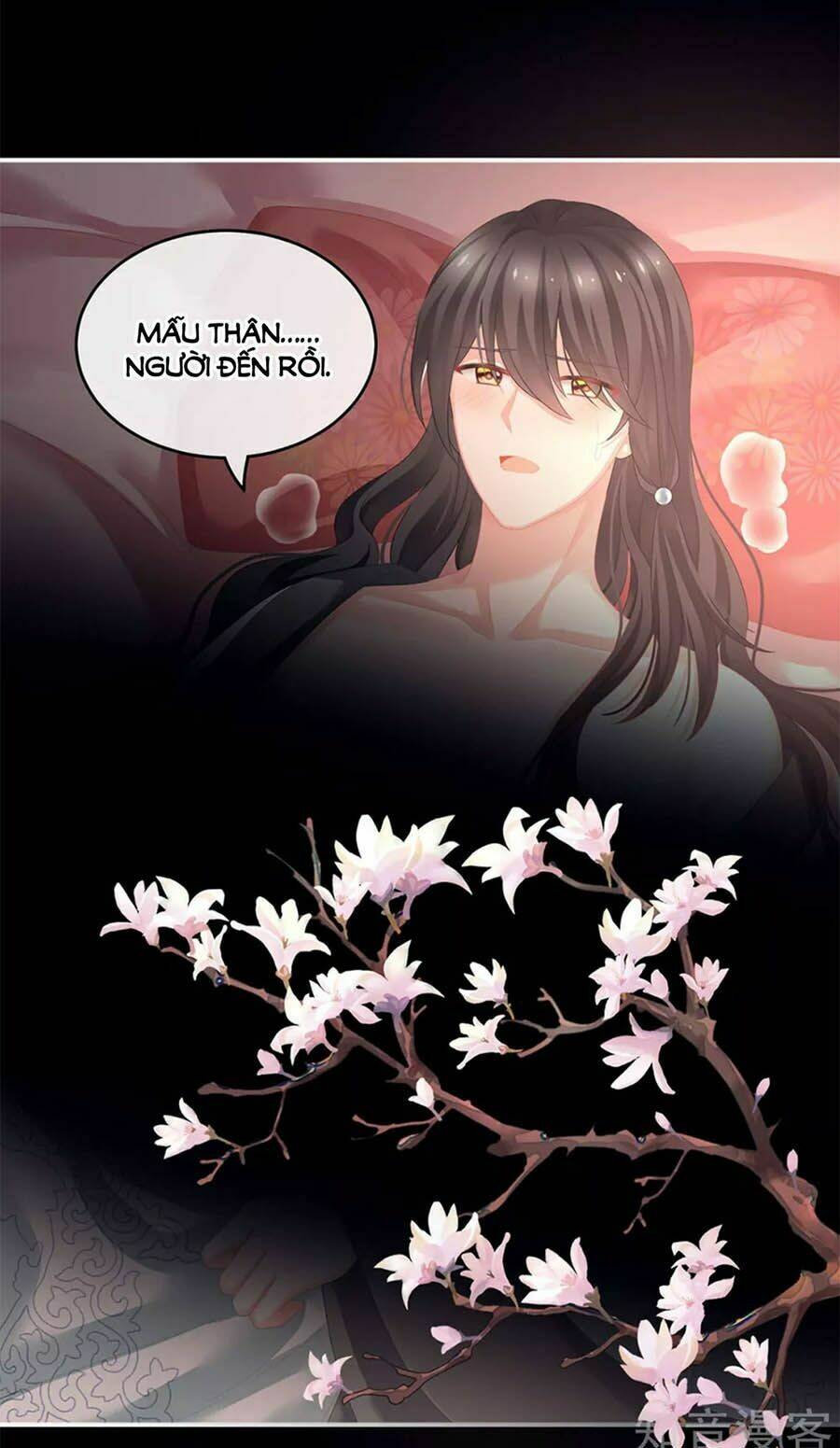 Hậu Cung Của Nữ Đế Chapter 141 - Trang 2