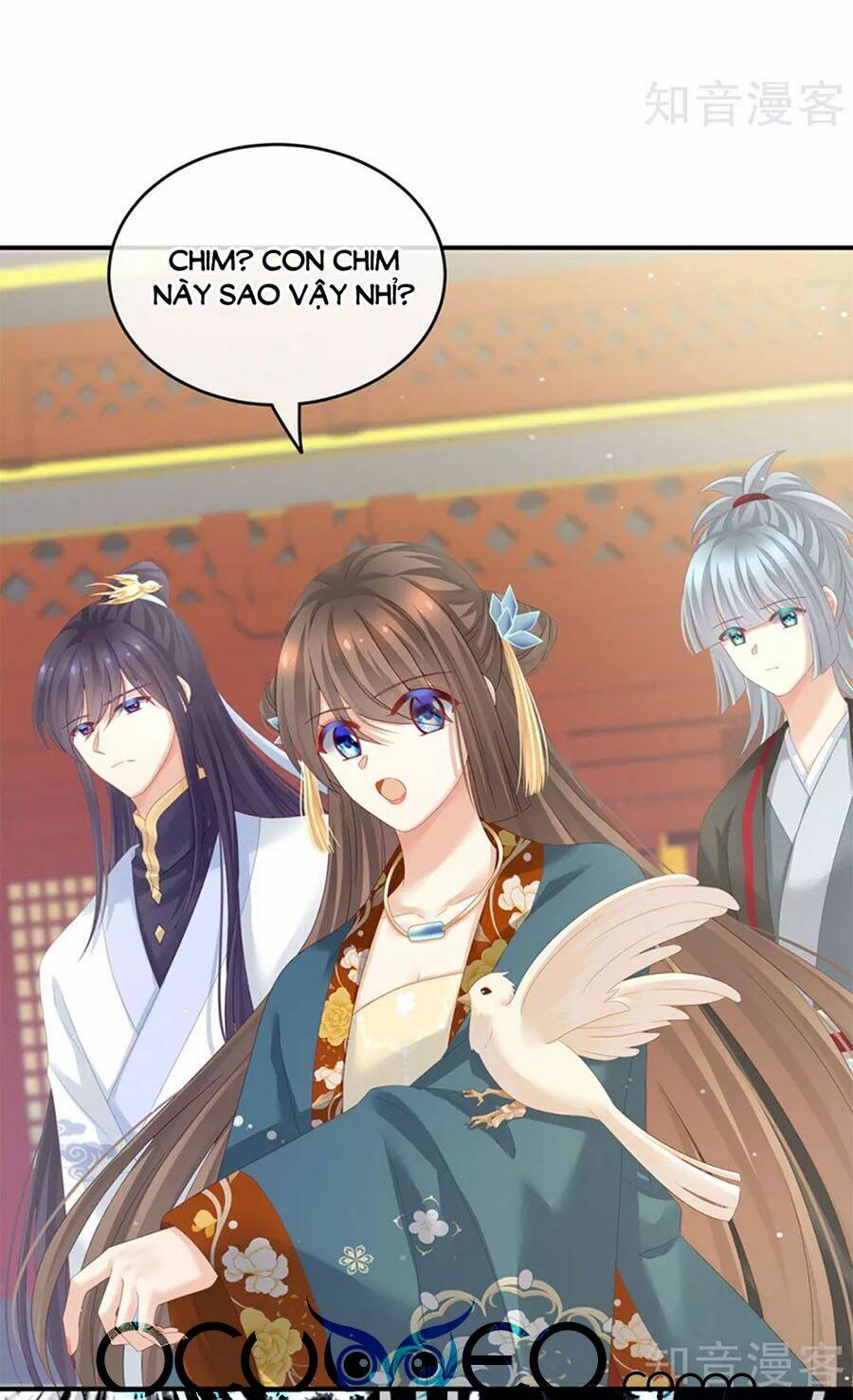 Hậu Cung Của Nữ Đế Chapter 154 - Trang 2