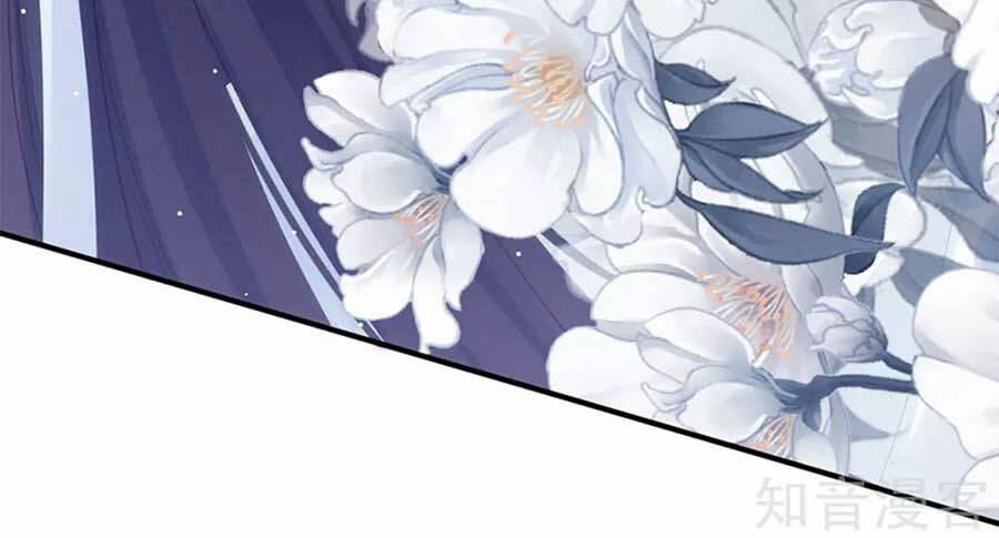 Hậu Cung Của Nữ Đế Chapter 159 - Trang 2