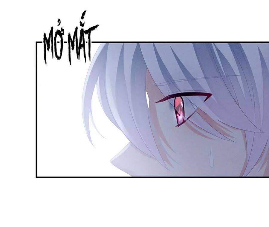 Hậu Cung Của Nữ Đế Chapter 161 - Trang 2