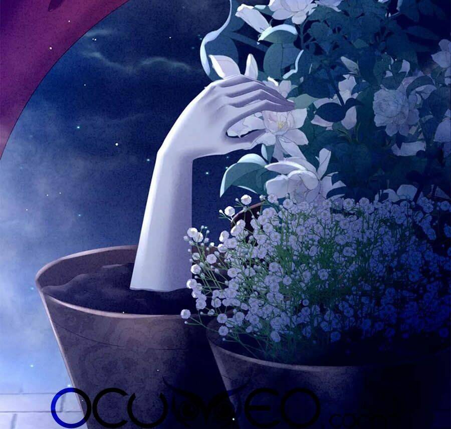 Hậu Cung Của Nữ Đế Chapter 161 - Trang 2