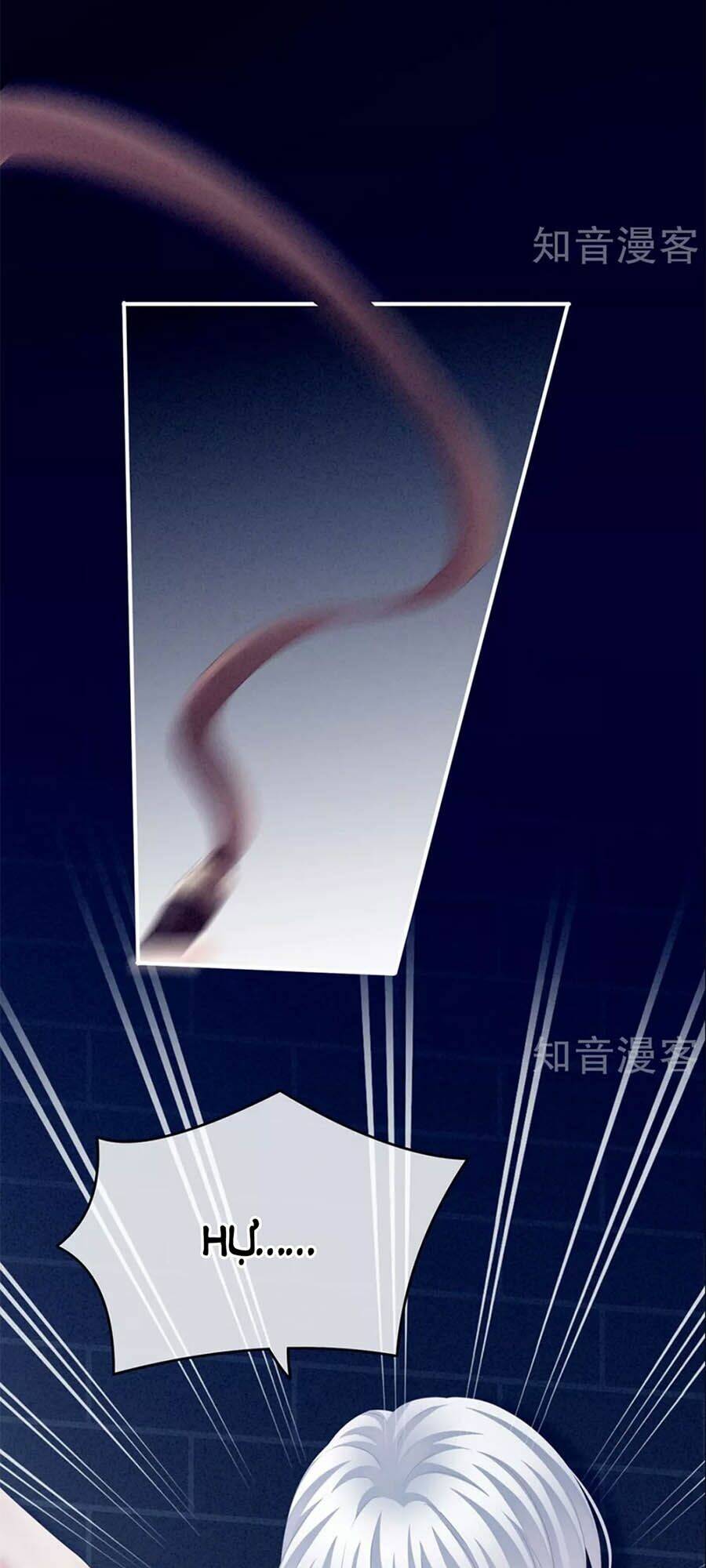 Hậu Cung Của Nữ Đế Chapter 162 - Trang 2