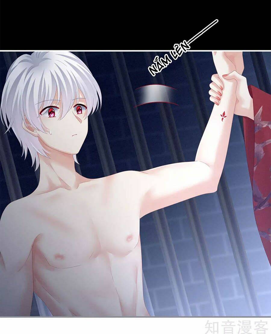 Hậu Cung Của Nữ Đế Chapter 164 - Trang 2