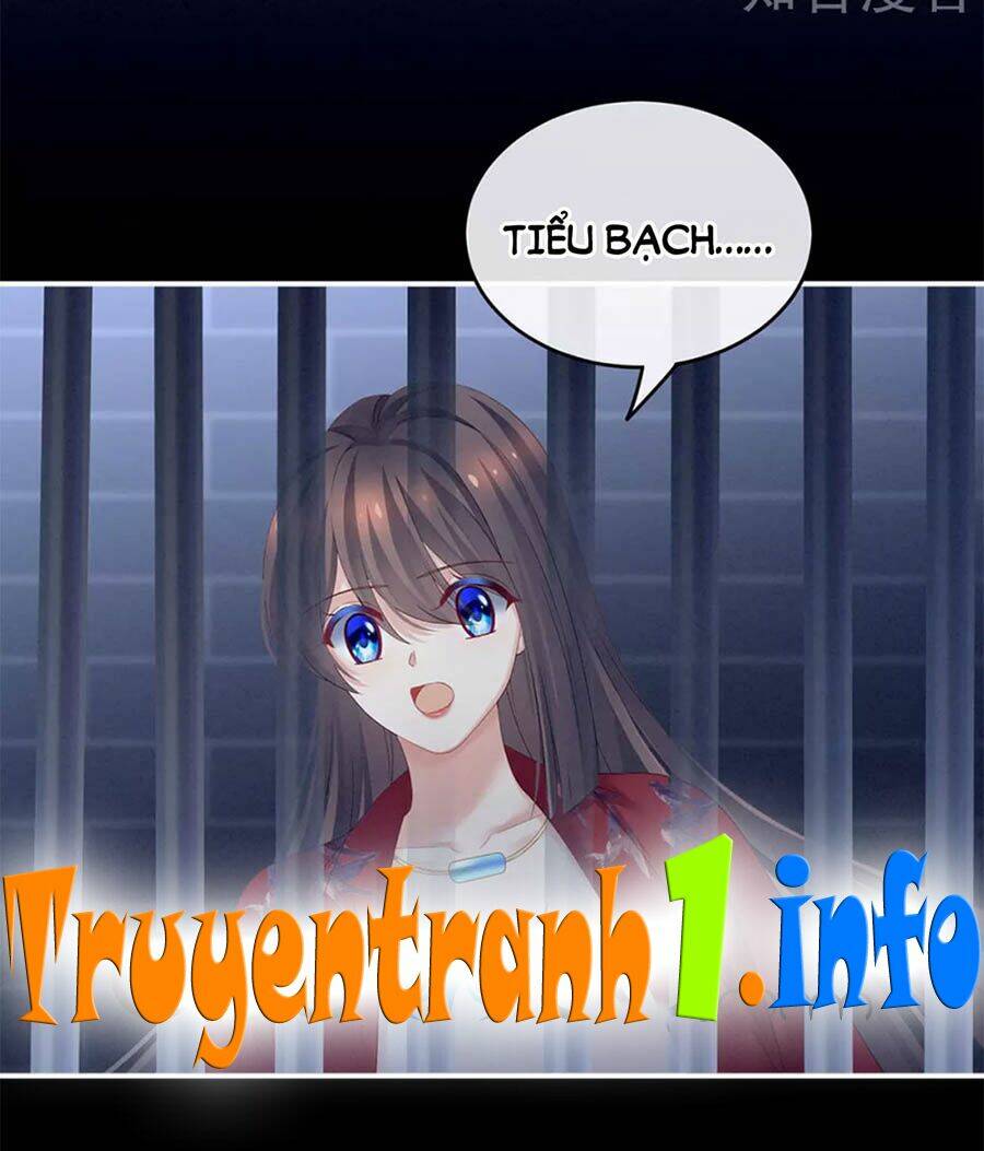 Hậu Cung Của Nữ Đế Chapter 164 - Trang 2