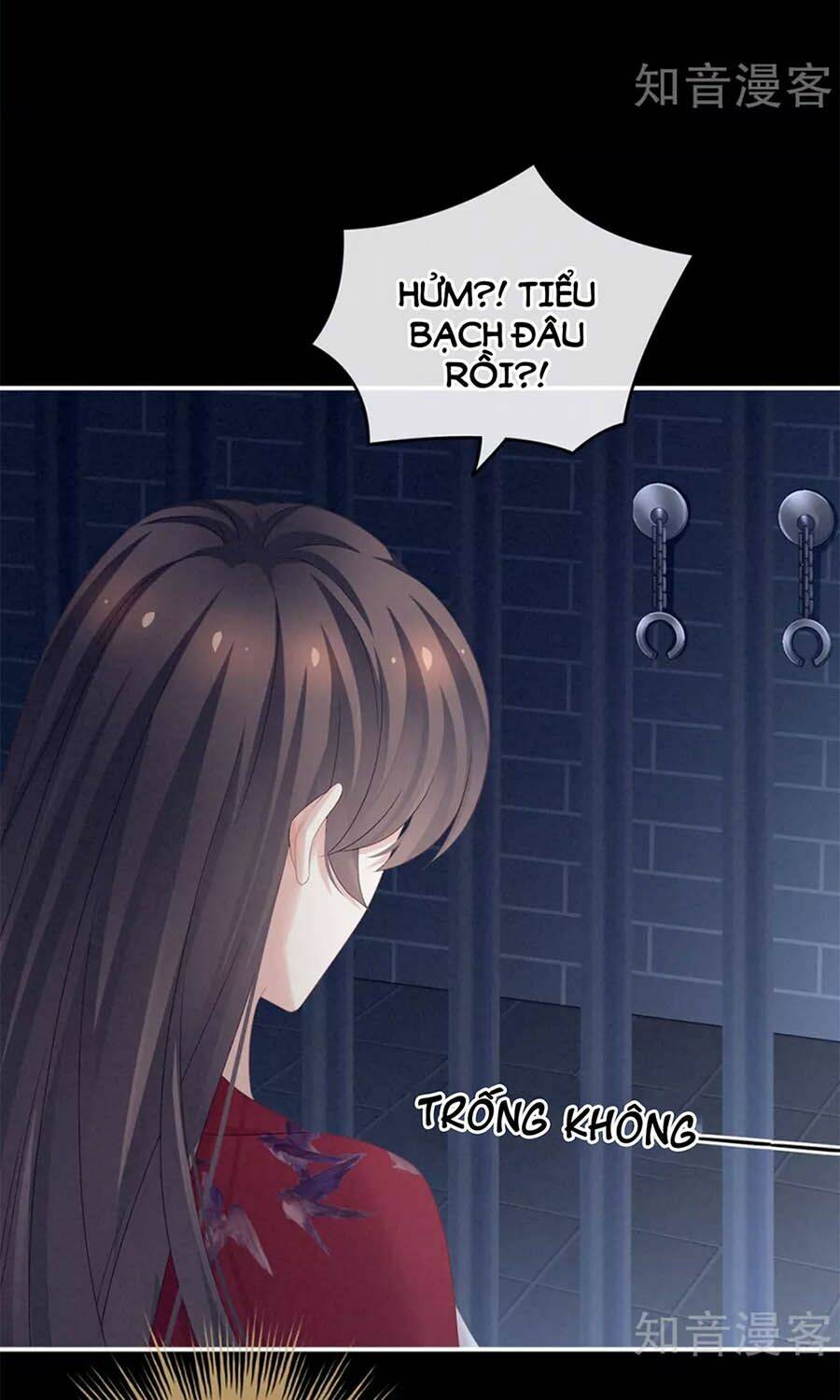 Hậu Cung Của Nữ Đế Chapter 164 - Trang 2