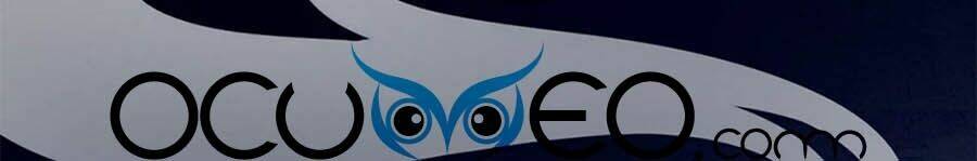 Hậu Cung Của Nữ Đế Chapter 165 - Trang 2