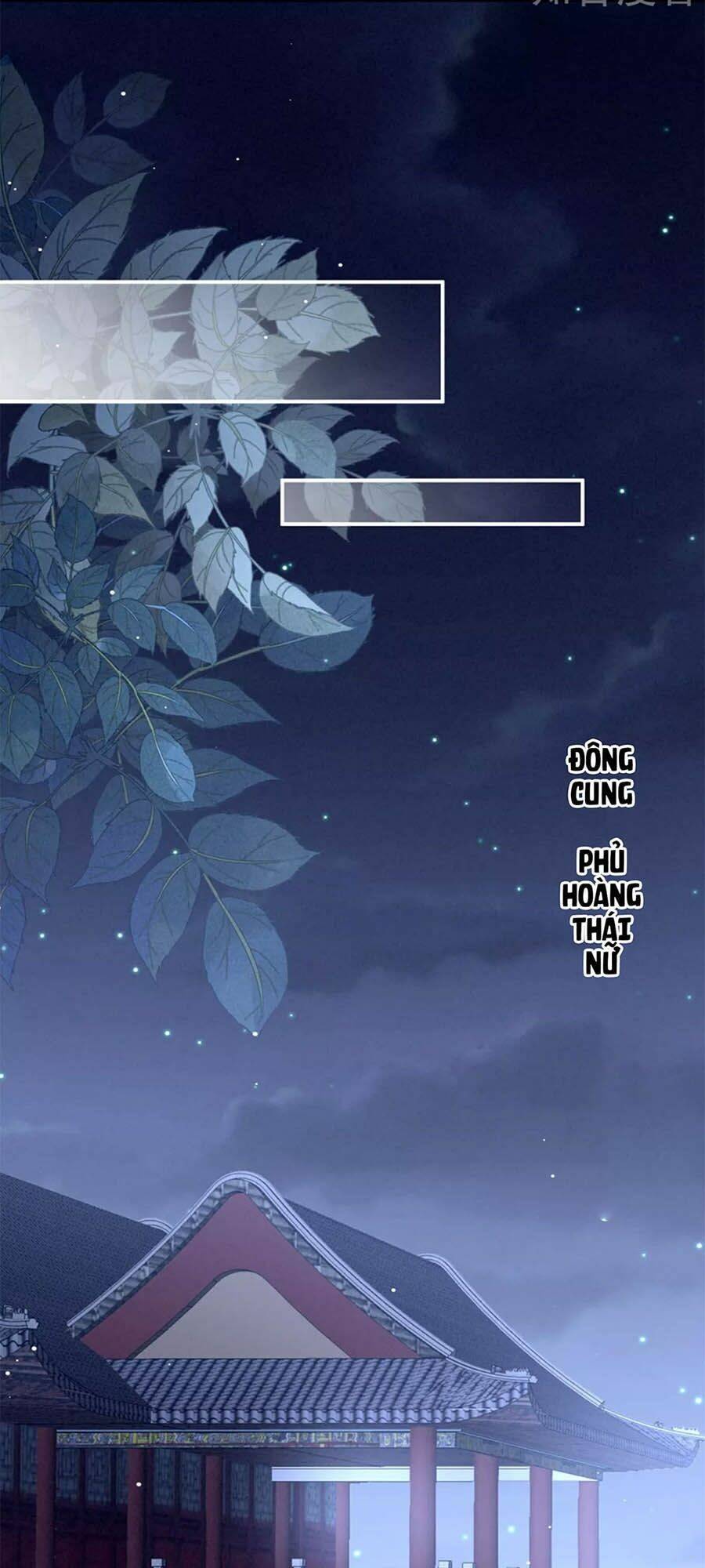 Hậu Cung Của Nữ Đế Chapter 167 - Trang 2