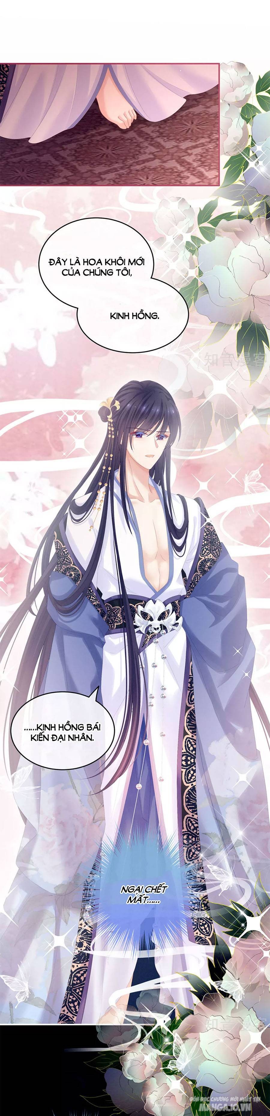 Hậu Cung Của Nữ Đế Chapter 170.5 - Trang 2