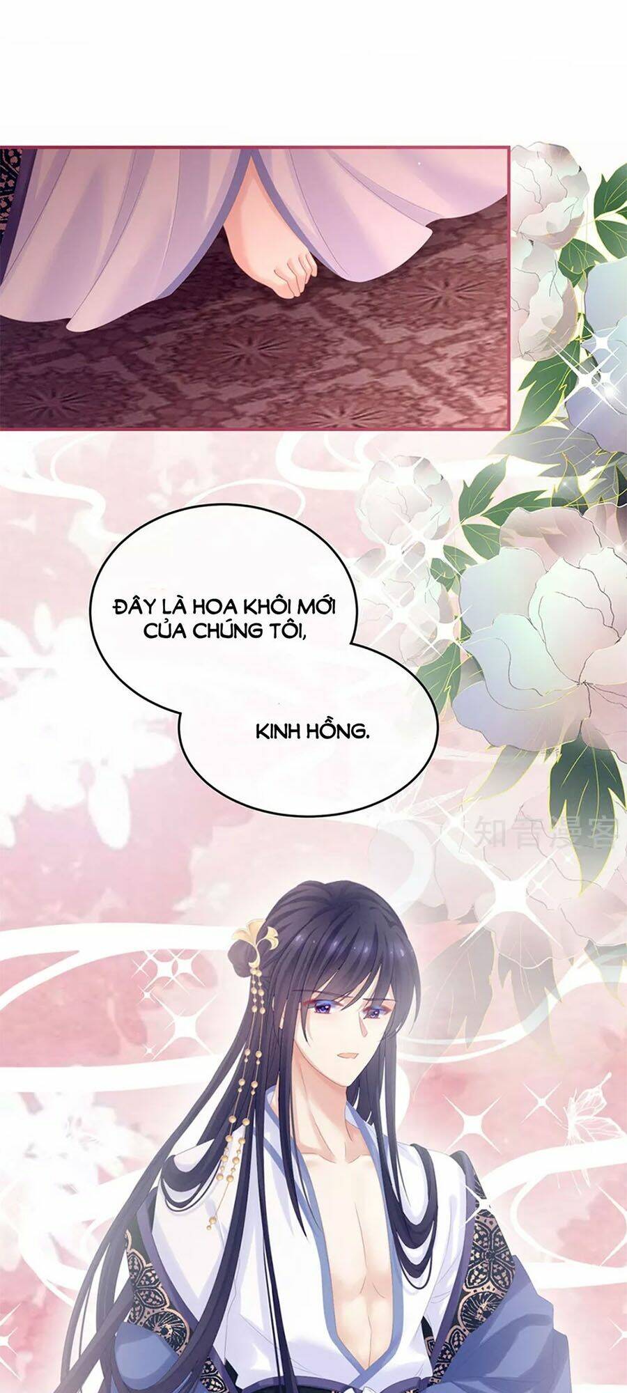 Hậu Cung Của Nữ Đế Chapter 171 - Trang 2