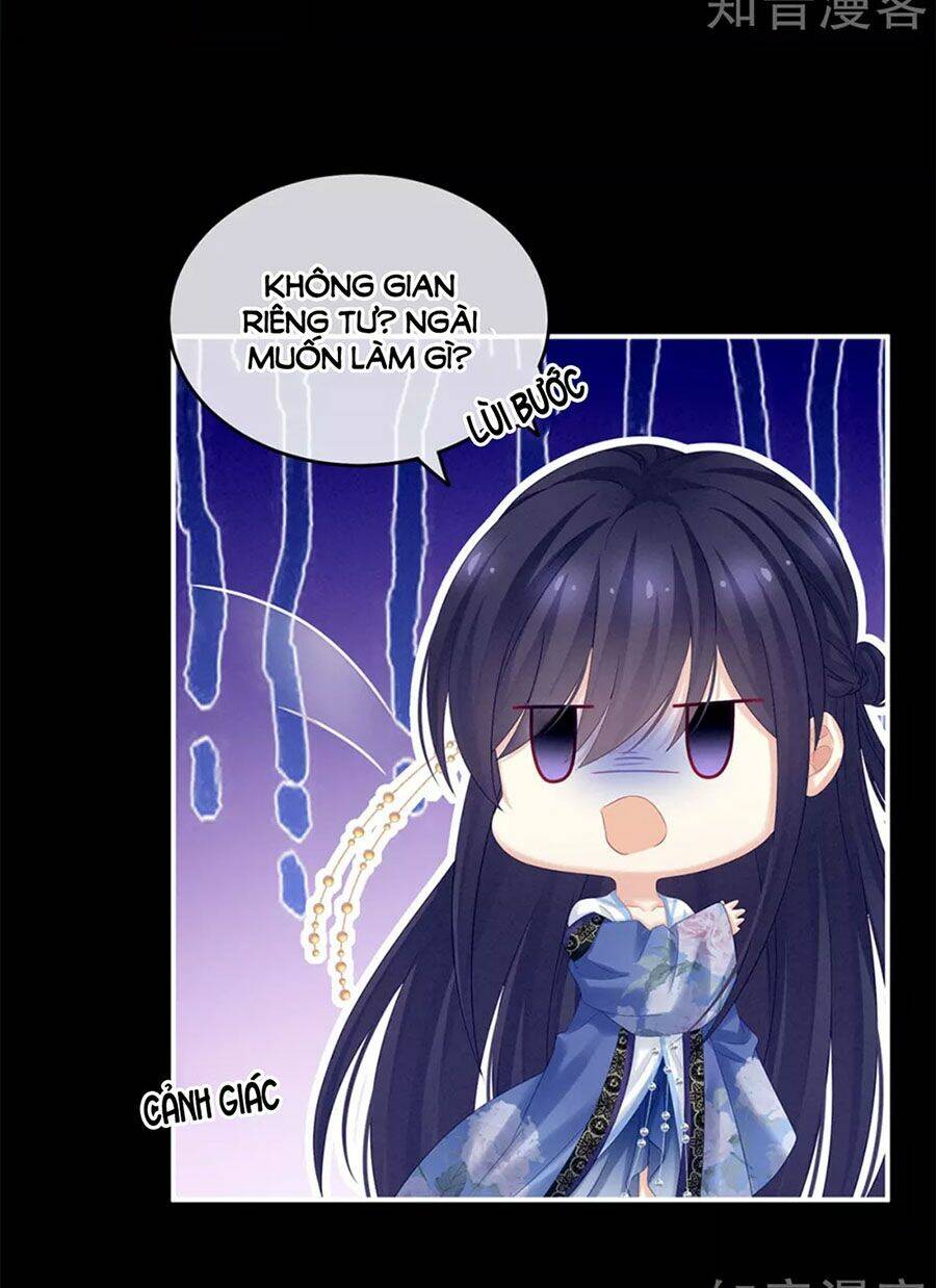 Hậu Cung Của Nữ Đế Chapter 171 - Trang 2