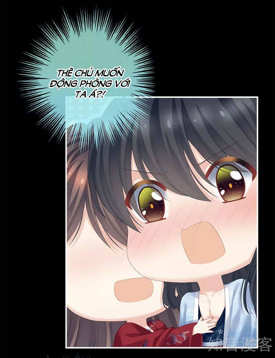 Hậu Cung Của Nữ Đế Chapter 172 - Trang 2