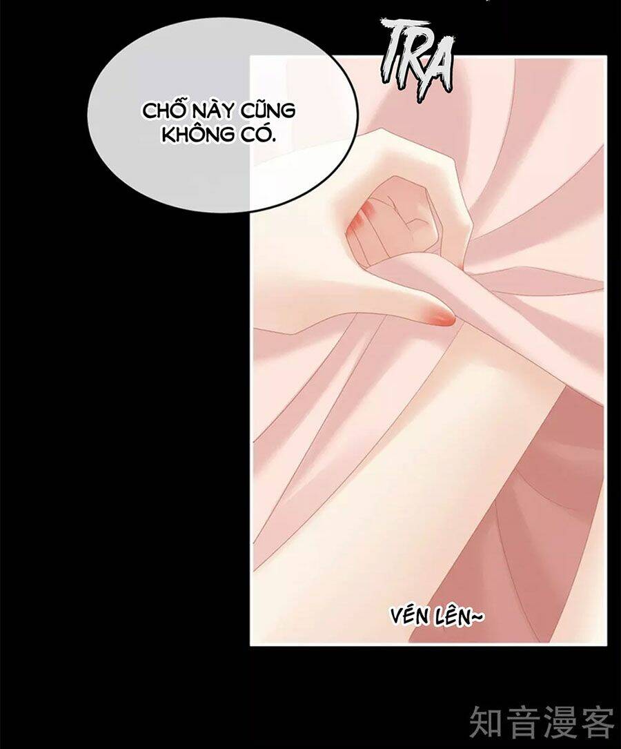 Hậu Cung Của Nữ Đế Chapter 173 - Trang 2